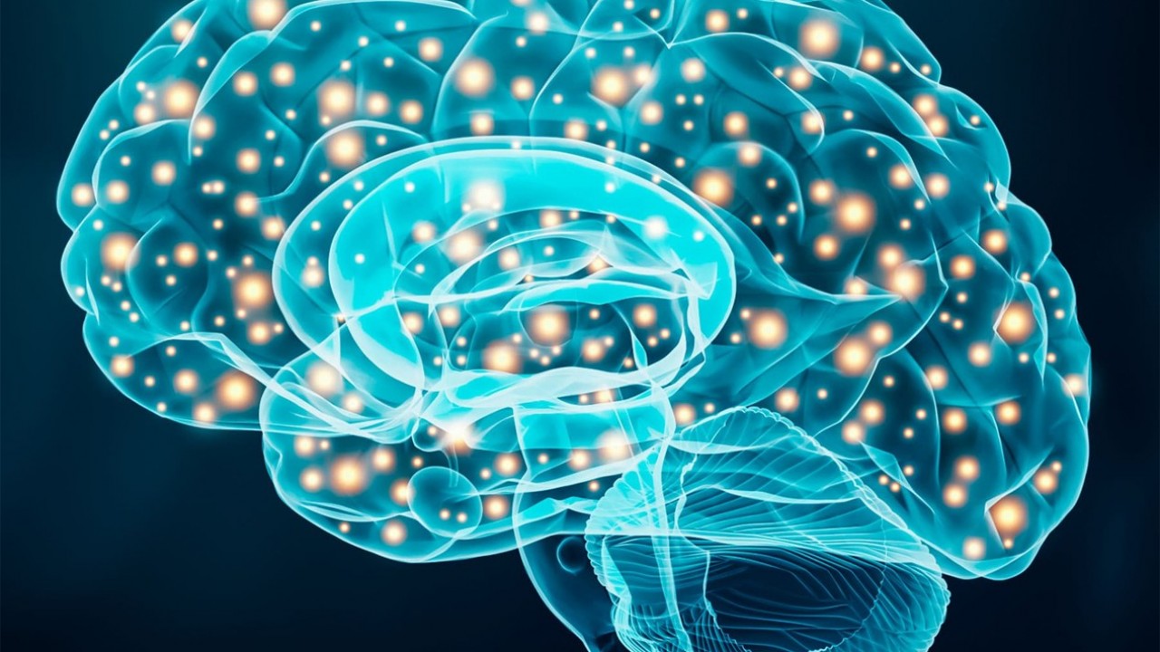 Scientists Find Brain Mechanism Behind Age-Related Memory Loss